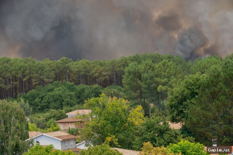 🔥🌲 Fransiya va Ispaniyada yong‘inlar: 325 ming kishi evakuatsiya qilindi, yangi jazirama kelmoqda