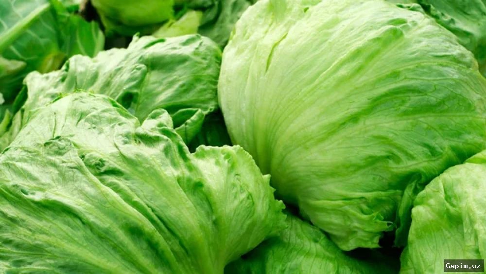 🥬🚨 AQShda rekord darajadagi siklosporiaz avj oldi: 13 mingdan ortiq kasallangan, ikki kishi vafot etdi