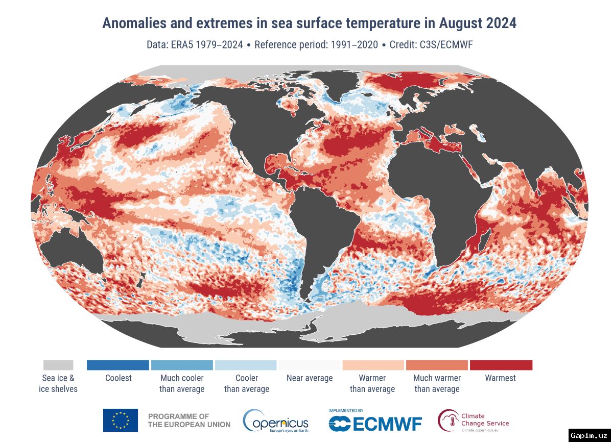 🌡️🌊 Avgust oyida global harorat rekordi yangilandi: iqlim inqirozi chuqurlashmoqda