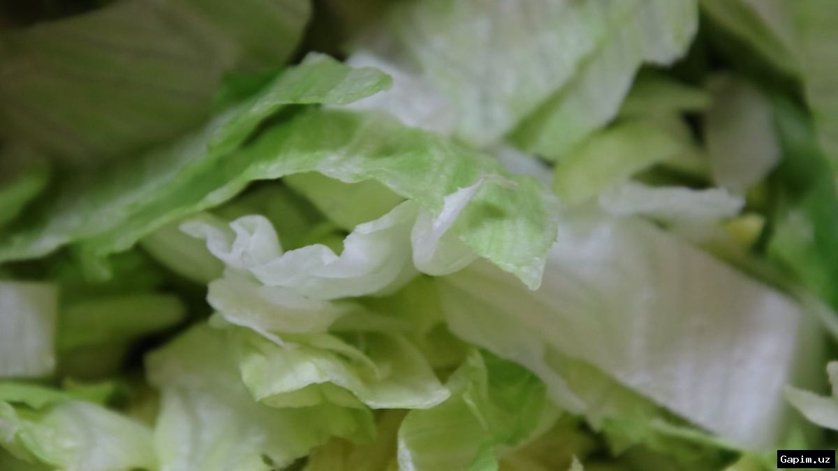 🦠🥬 AQShda 4100 dan ortiq odam parazitar kasallik bilan kasallandi