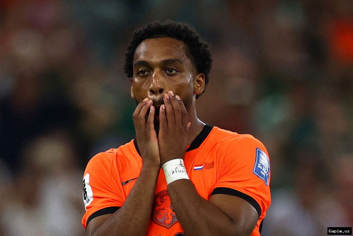 ⚽️⚖️ Dutch FA files complaint over racist abuse after World Cup exit