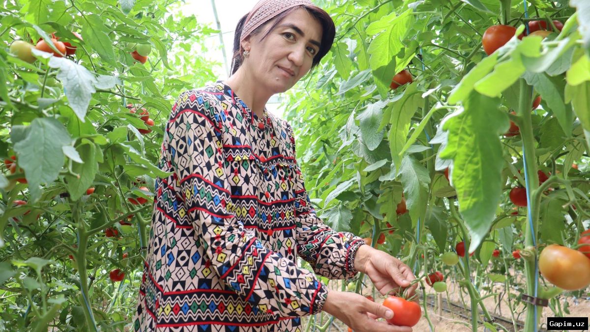 🌱🇺🇿 Президент ознакомился с инициативами по модернизации теплиц в домохозяйствах