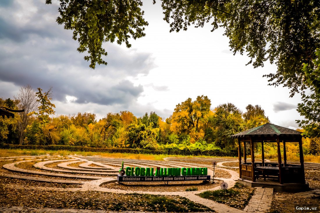 🌳🏛️ President-Led Presentation Unveils Ecological Projects: Over 100 Hectares of Botanical Gardens and Arboretums to Be Established Across Uzbekistan by 2028