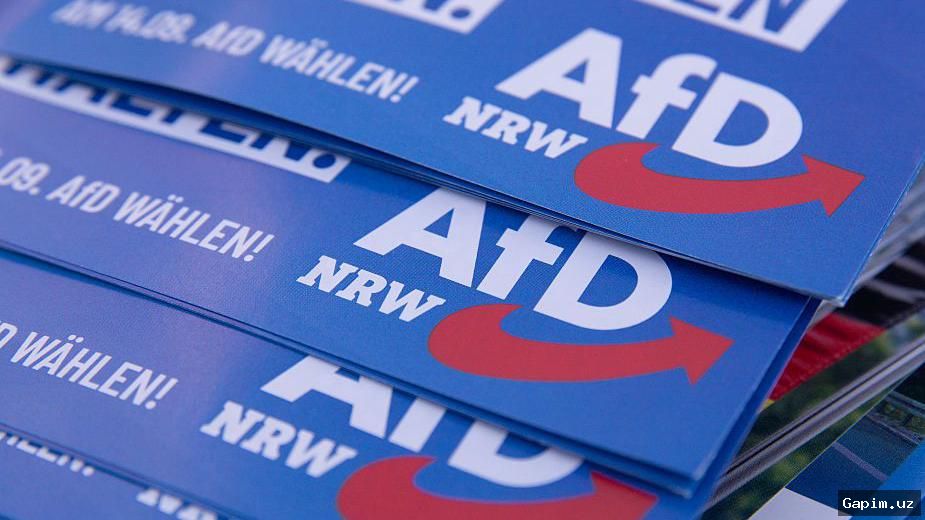 🇩🇪🗳️ Местные выборы в Германии: AfD набирает силу, Мерц предупреждает