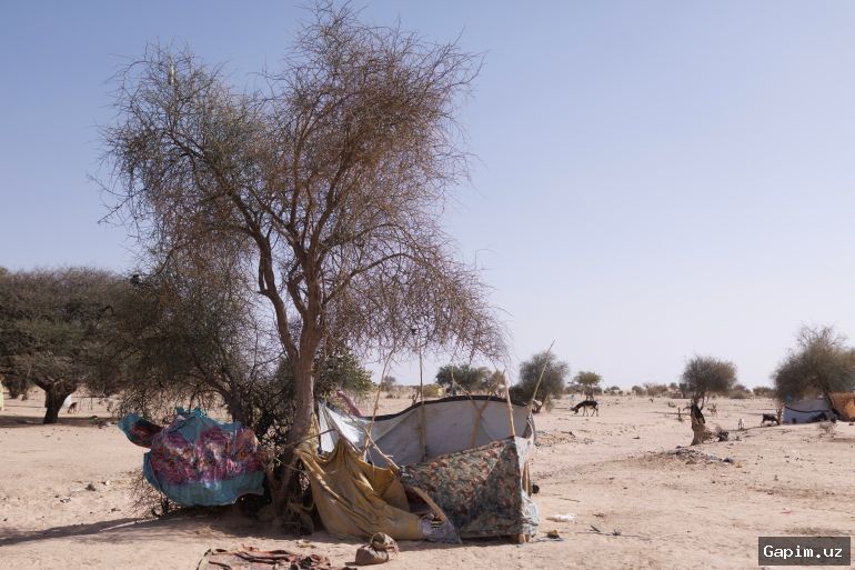 💥✈️ Chad-Sudan Border Airstrike Kills 12, Chad Accuses Sudanese Army