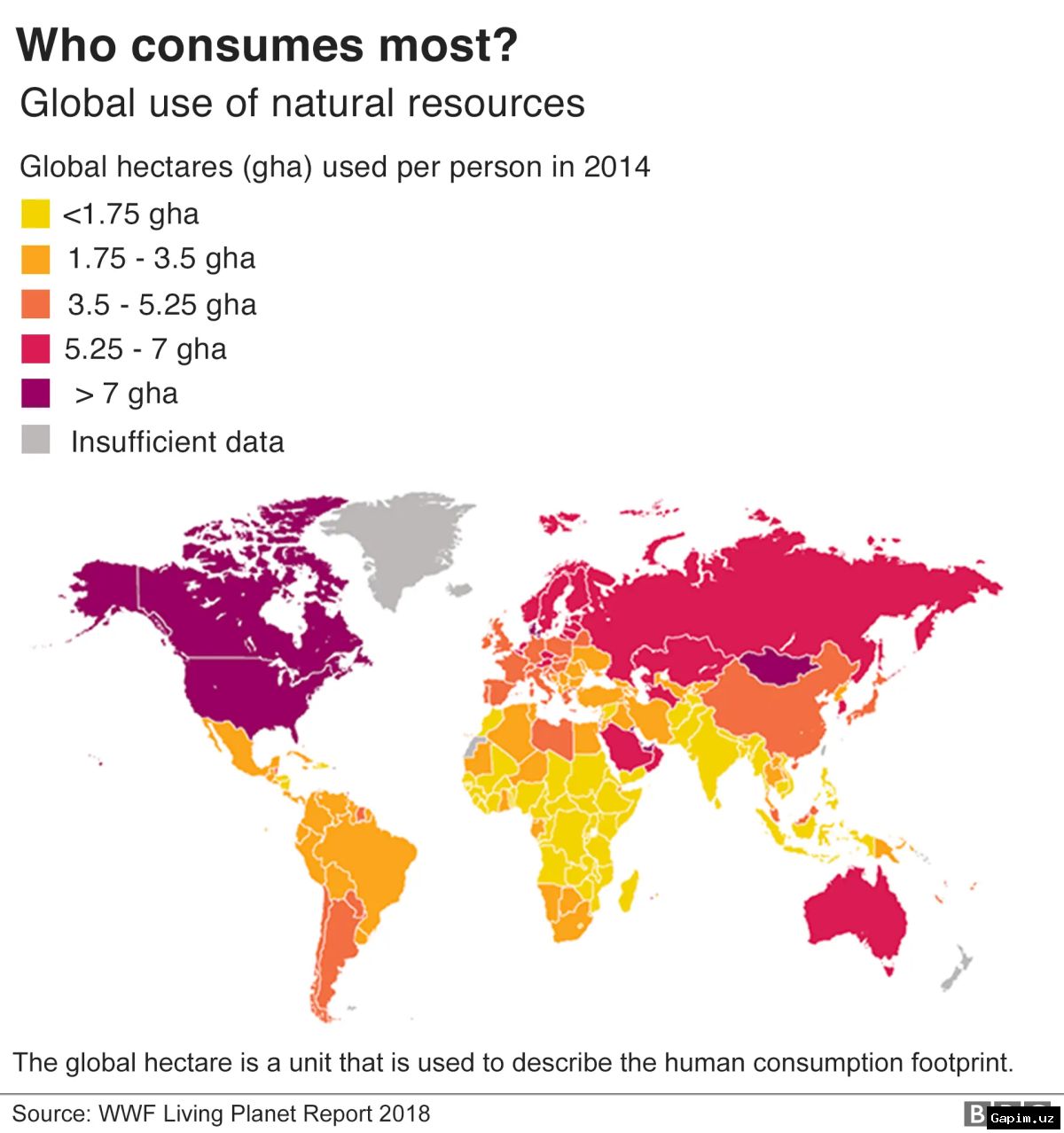 🌍📉 Biologik xilma-xillik inqirozi: Yer yuzi ekotizimlari jiddiy xavf ostida qolmoqda
