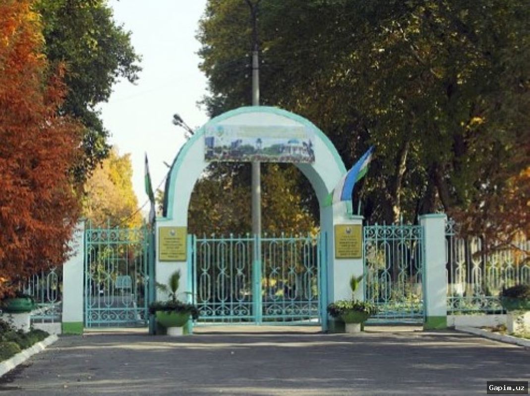 🌳💧 В Ташкентском ботаническом саду строят искусственное озеро: деревья не вырубают, утверждает специалист