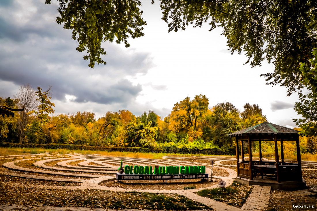 🌿🧪 Toshkent Botanika bog‘ida "Formula 35" fan festivali bo‘lib o‘tadi