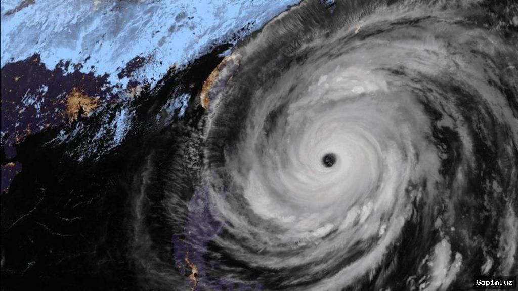 🌀⚠️ Typhoon Champi Batters Taiwan Leaving Casualties and Transport Chaos