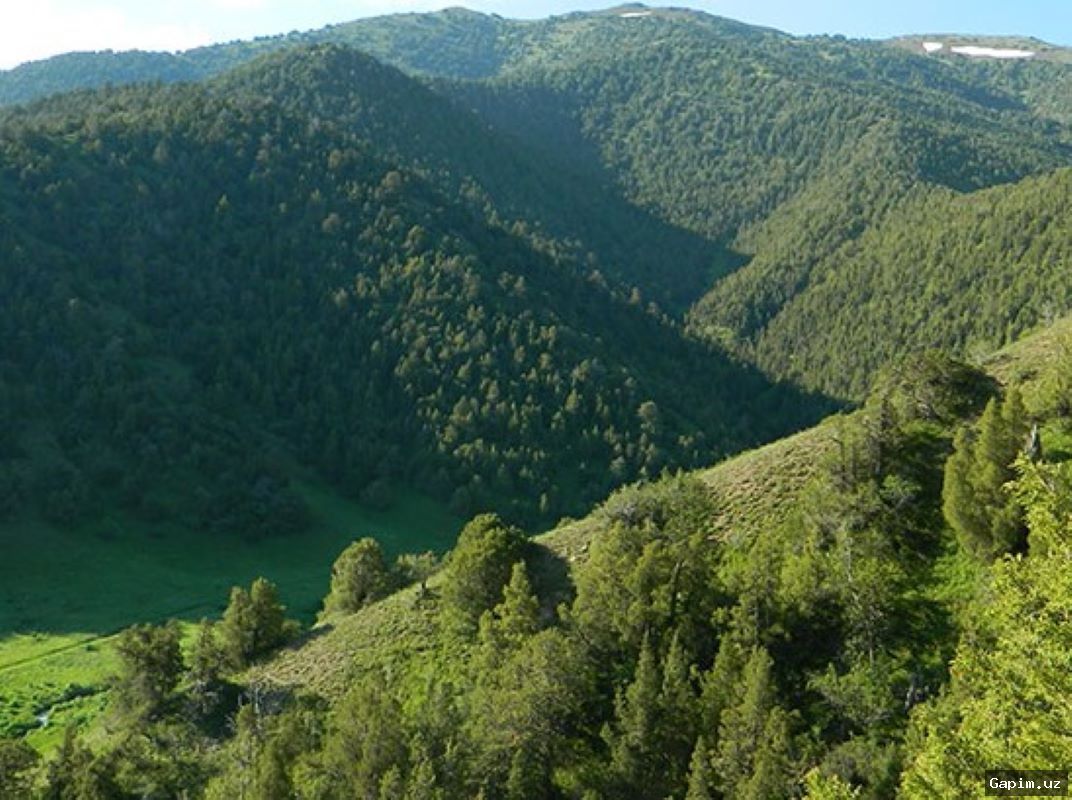 🚗⚠️ Car Teeters on Cliff Edge in Zaamin District Rescue Operation