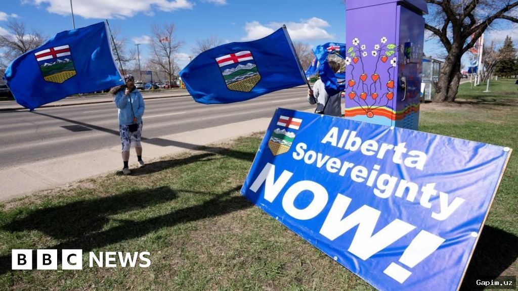 🇨🇦📉 Сепаратистские настроения: в Альберте подвели спорные итоги голосования