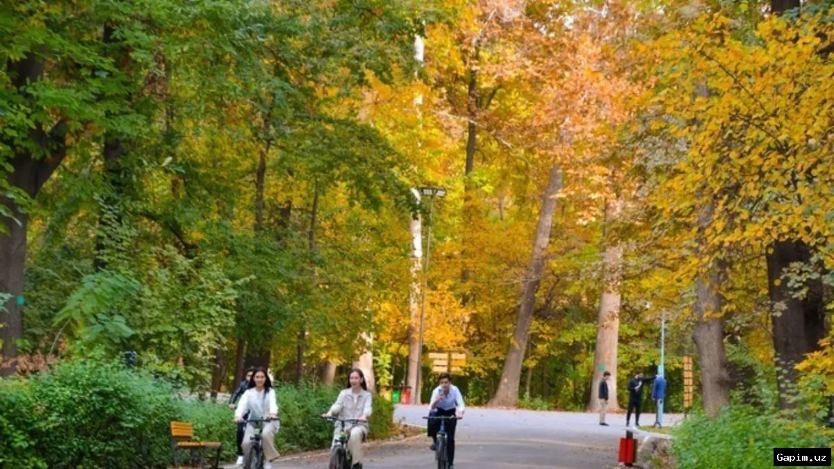 🚳🌳 Toshkent Botanika bogʻida velosiped va skuterlar harakati taqiqlandi