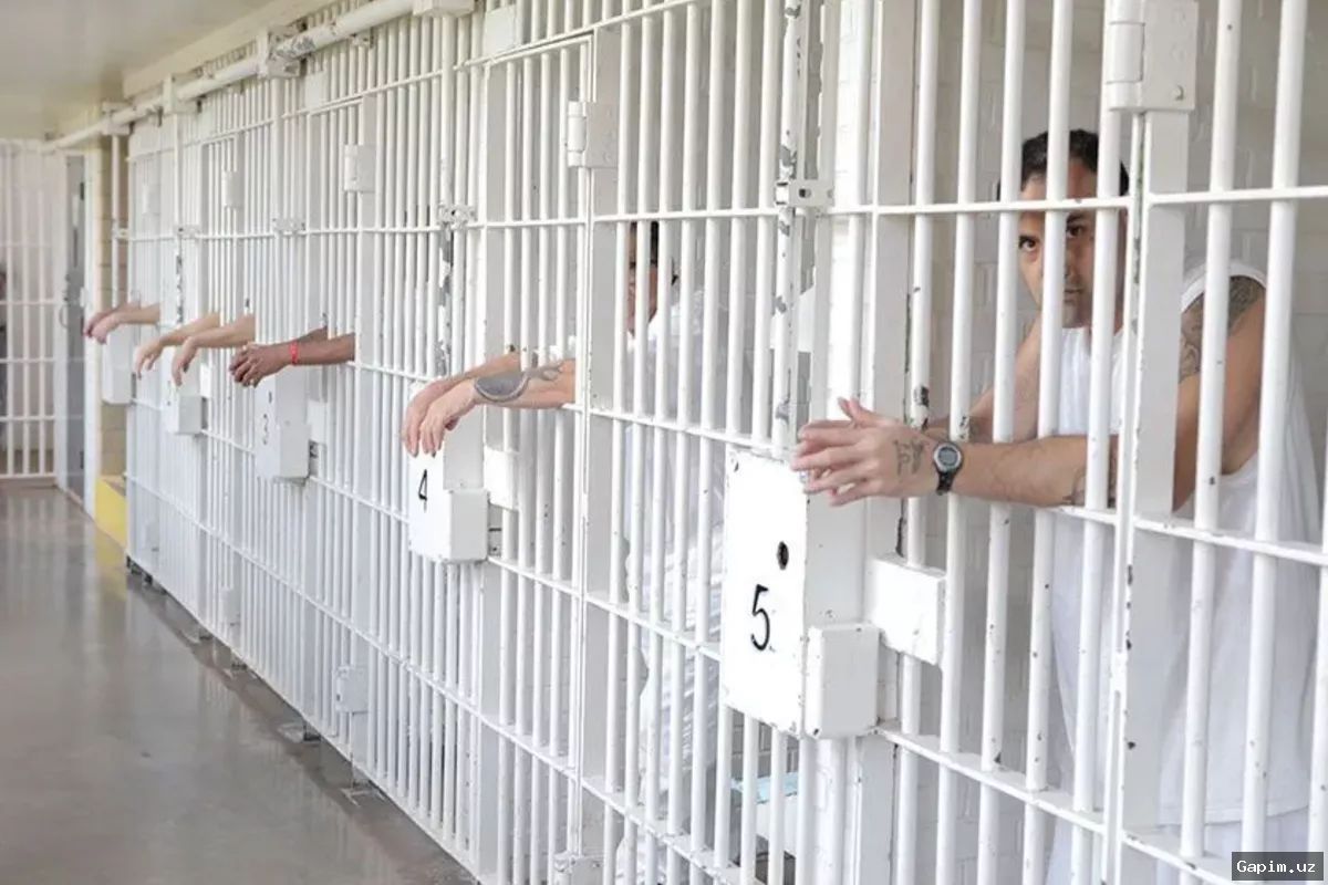 🚌⚖️ Tashkent bus harassment leads to 3-day arrest