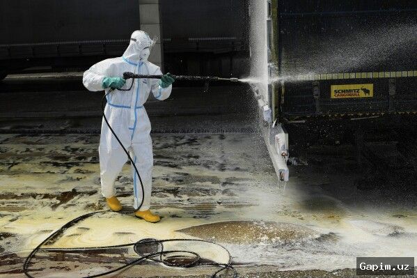 🦠🚨 В Узбекистане Усилены Мероприятия по Борьбе с Новыми Штаммами Ящура