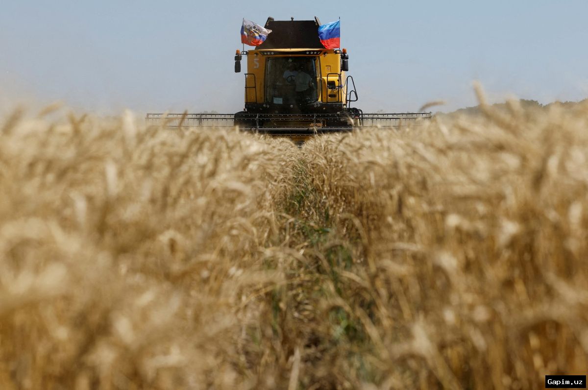 🌾⚓ Украина попросила Израиль арестовать судно с «украденным» зерном