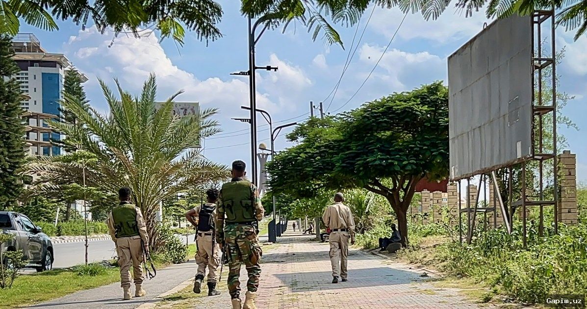 🌍📡 Ethiopia on brink of new war: communications blackout feared in Tigray