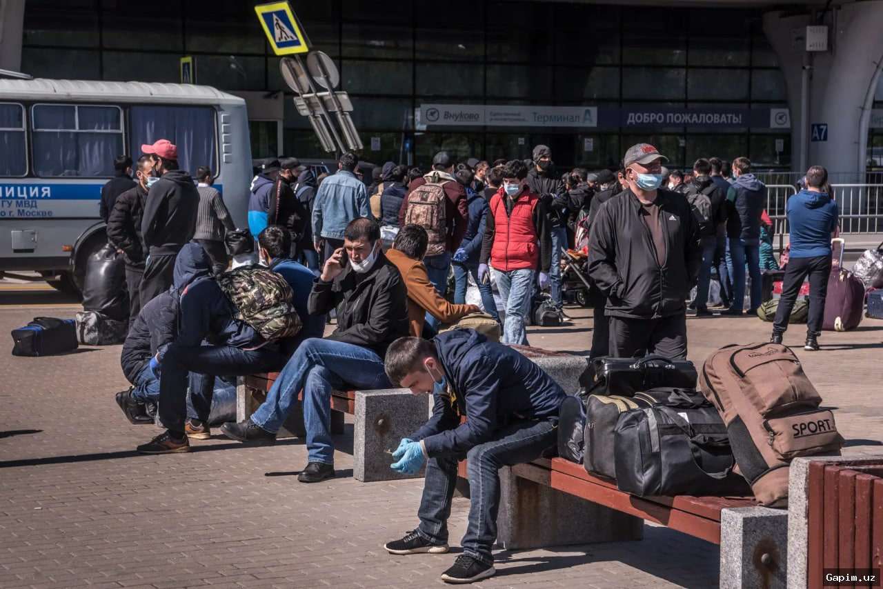 🇺🇿✈️ O‘zbekistonlik mehnat muhojirlari Rossiyada: 2025-yilda 106 ming kishi tashkil etilgan safarbarlik orqali ishga jo‘natildi