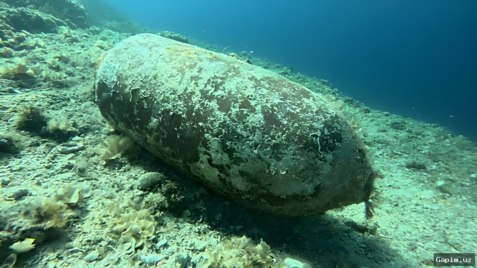 🌊💣 Старые бомбы у берегов Германии отравляют морскую жизнь