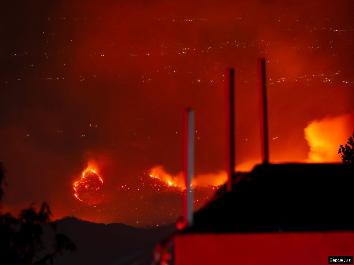 🌡️🔥 India heatwave: 16 dead, forest fires rage in north