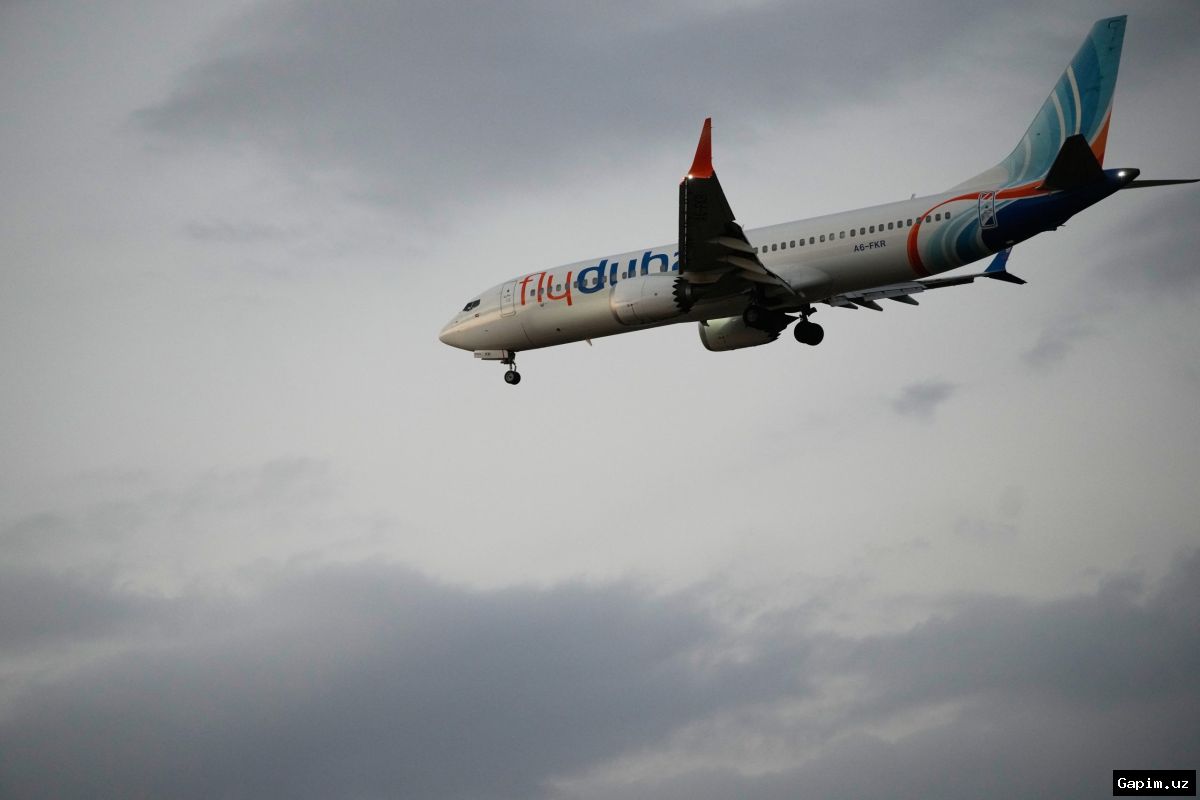 ✈️💥 ЧП на борту Flydubai: Нападение второго пилота вызвало массу неудобных вопросов
