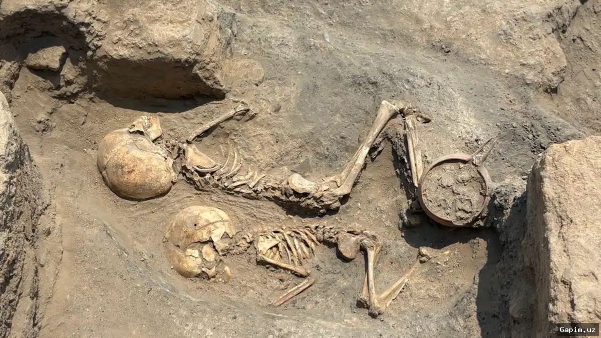 🔍🦴 В Узбекистане найден череп ребенка бронзового века со следами трепанации