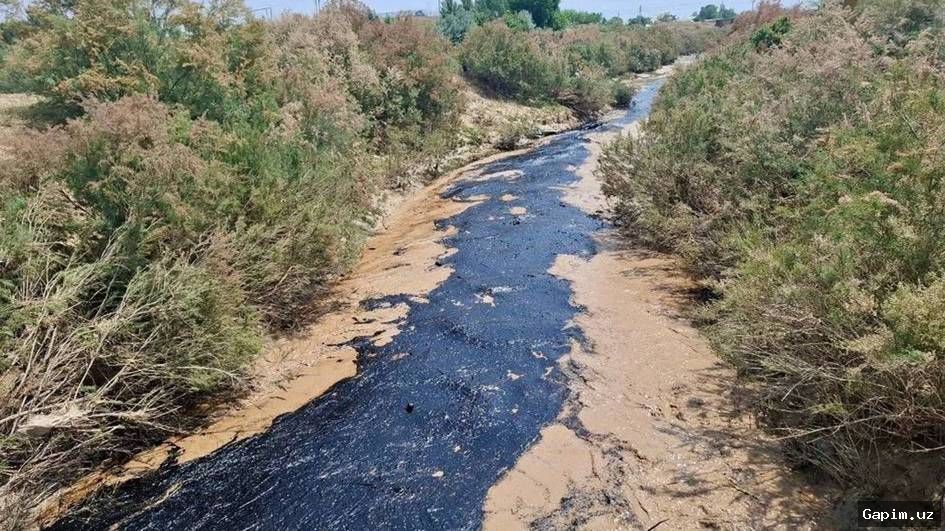 🌧️🛢️ В Сурхандарье из-за сильных дождей и селя повреждено нефтехранилище: экологическое ЧП