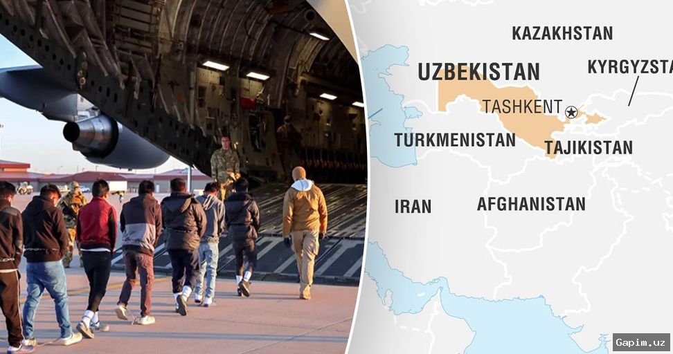 ⚖️🚧 После конфликта на таможенном посту в Ташкентском районе назначен административный арест