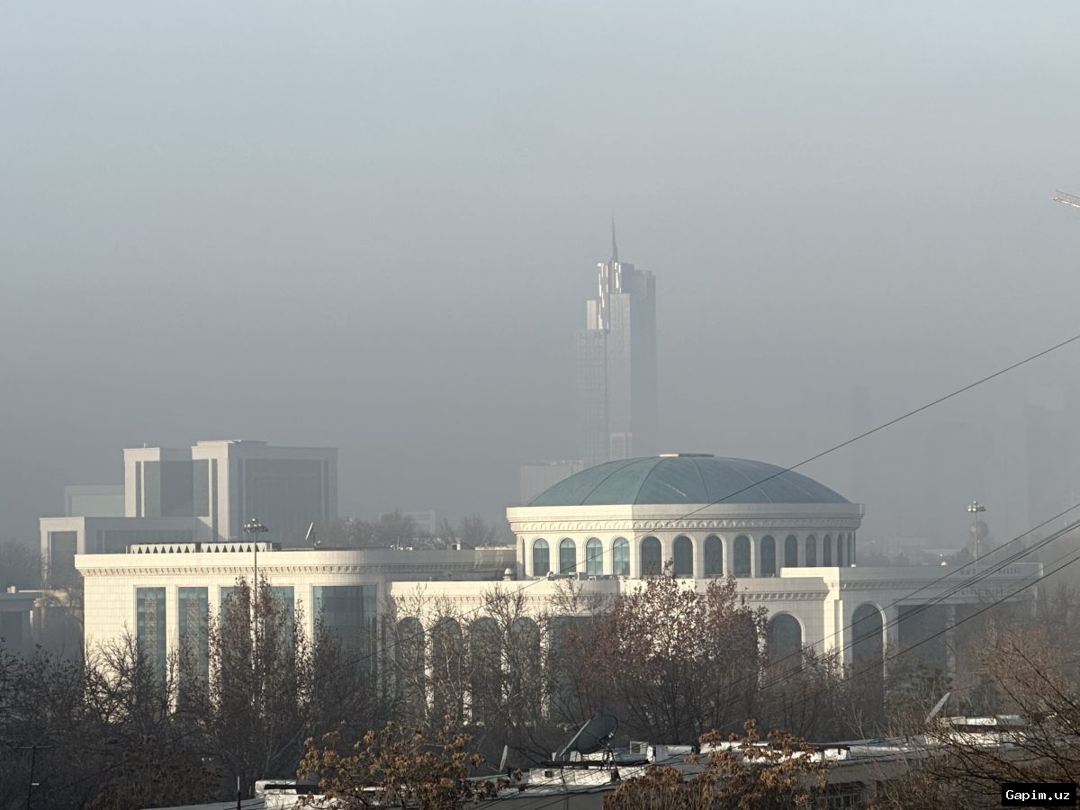 🌳🏛️ В Ташкенте разгораются споры вокруг планов по созданию автостоянки на 1,3 га за Национальной библиотекой