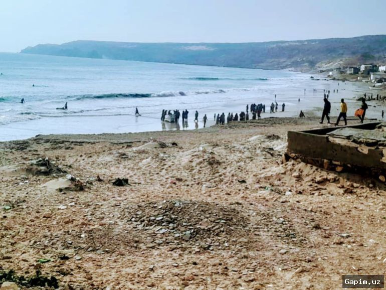 🏴‍☠️⚓ Somalia Piracy Crisis Deepens Hardship for Local Fishermen in Bander Beyla