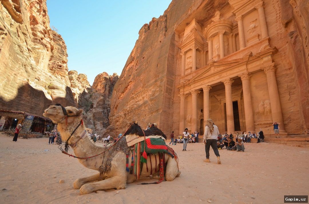 🏜️📉 Iordaniyaning Petra shahri sayyohlarsiz qoldi: urush turizmni barbod qildi