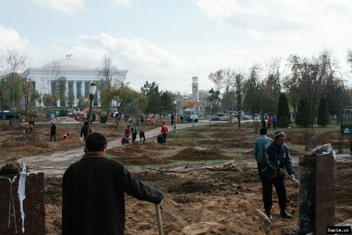 🌳🏙️ Хоким Ташкента оправдал вырубку деревьев «народной пользой» – противоречие с законом и практикой