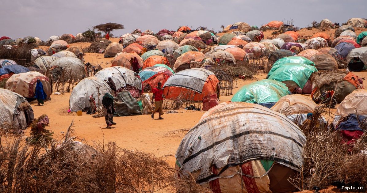 🏚️🌍 Сомали на грани голода: сокращение помощи США усугубляет гуманитарную катастрофу