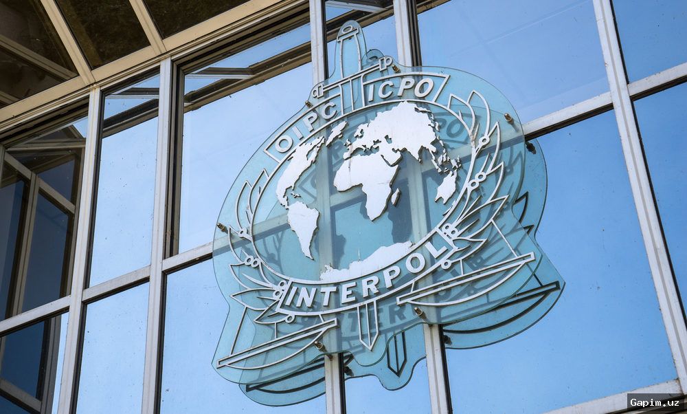 🔒✈️ Turkiyada Xalqaro Qidiruvdagi Ikki Fuqaro Qo‘lga Olindi va O‘zbekistonga Qaytarildi