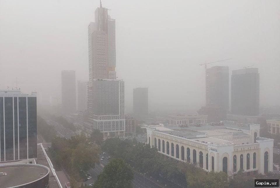 🌪️🌍 Dust and Development: Uzbekistan Struggles with Geographic and Urban Planning Pressures