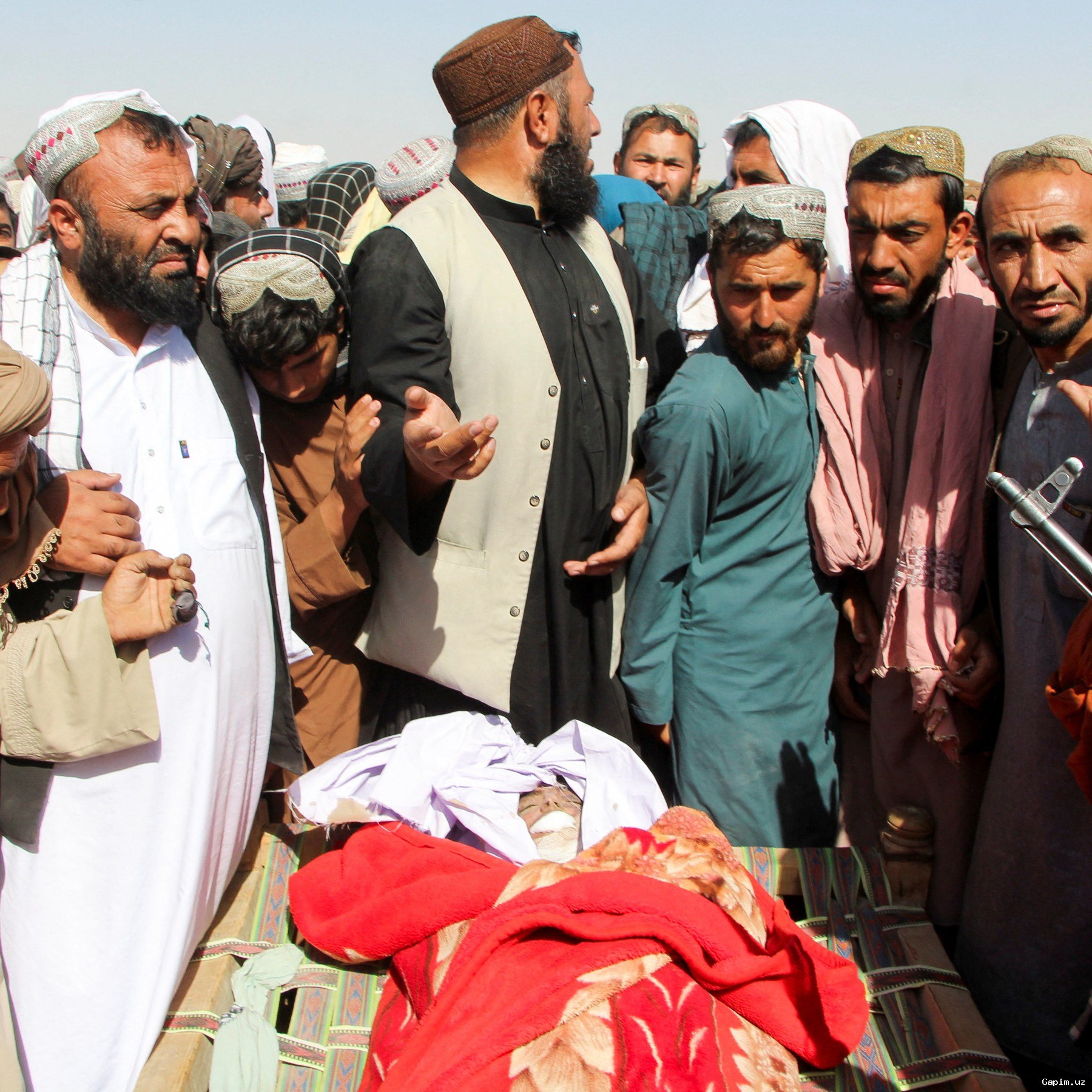 🕊️☪️ Afghanistan and Pakistan Announce Temporary Ceasefire for Ramadan Eid