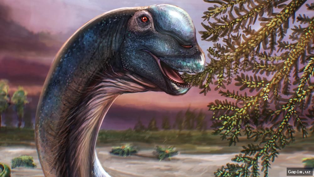 🦕🌏 В Таиланде обнаружен новый вид гигантского динозавра: Нагатитан весом 27 тонн