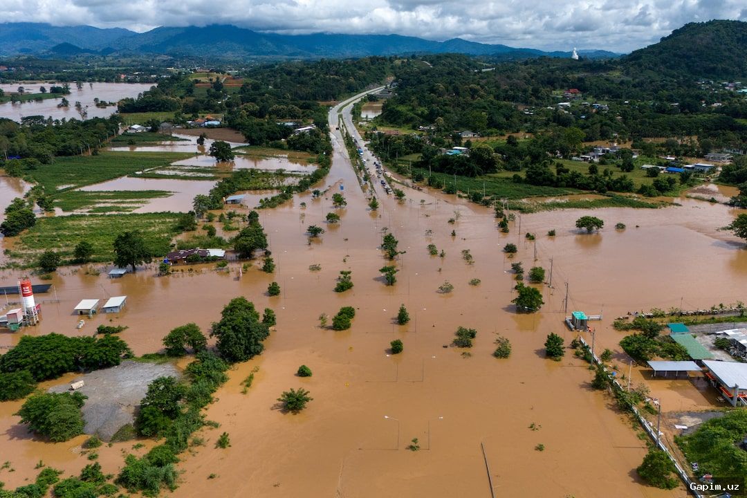 🌧️🌊 Сильное наводнение в Бангкоке: в 50 районах объявлено чрезвычайное положение