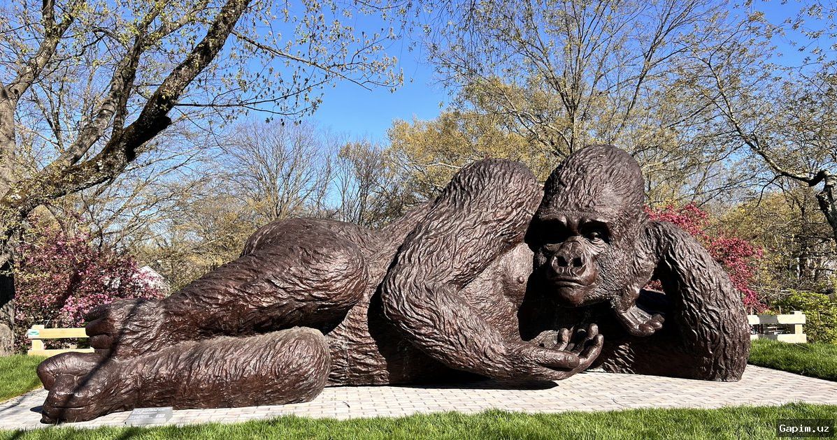 🎨🛑 Скандал с арт-объектом в Муйнаке: Gorilla убрала рекламу, вскрылись налоговые льготы