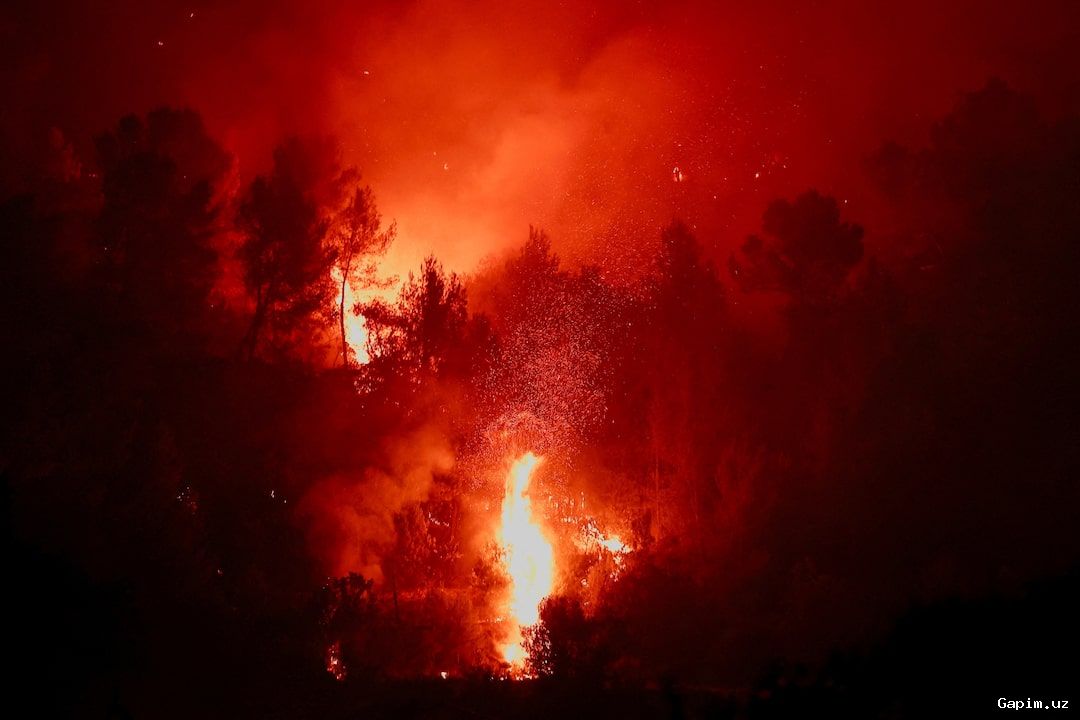 🔥🌊 Gretsiyada yong‘in: Porto Germeno kurorti yonmoqda, yuzlab o‘t o‘chiruvchilar kurashmoqda