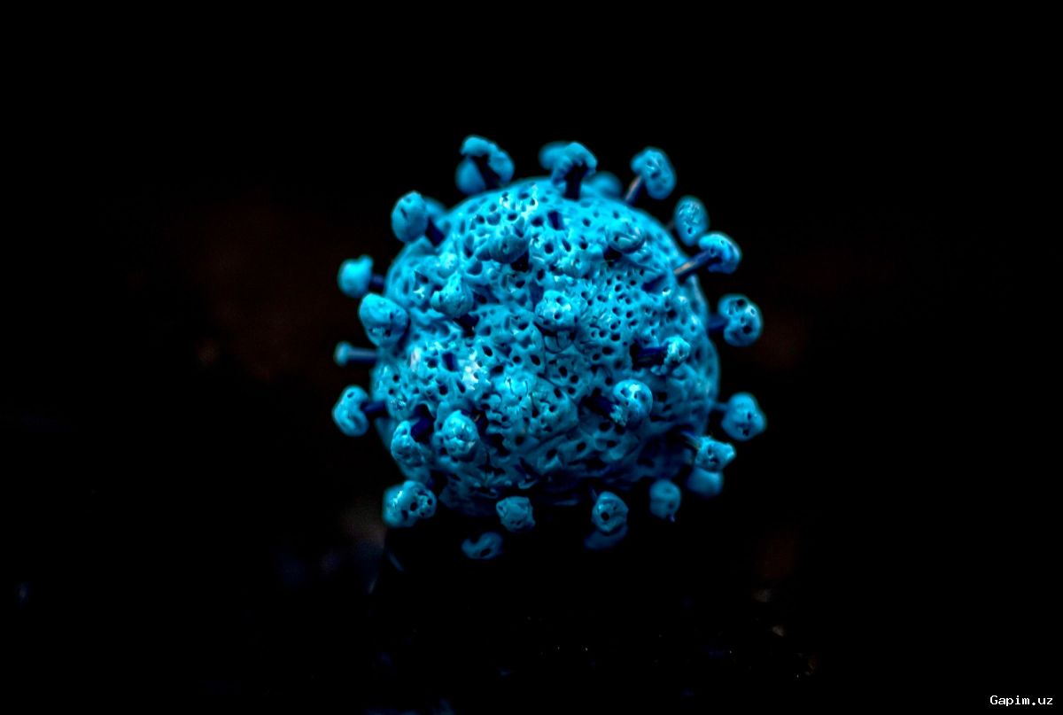🦠🛡️ О новом штамме коронавируса "Цикада": Ситуация в Узбекистане стабильна