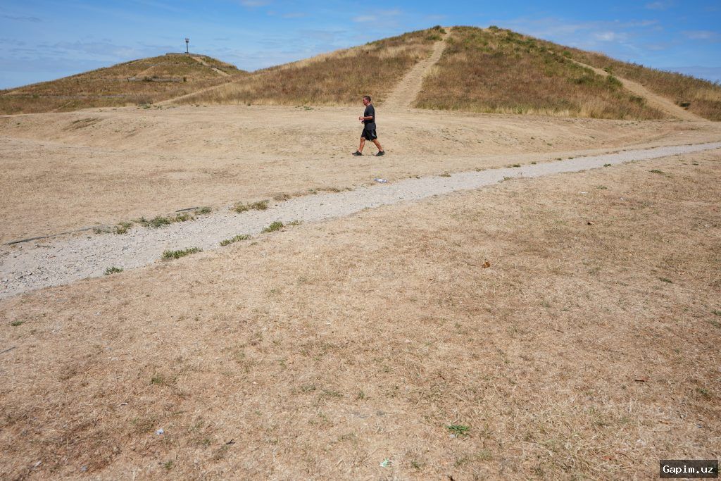 🌍🔥 Western Europe Swelters Through Record-Breaking Heat: Hottest June-July on Record