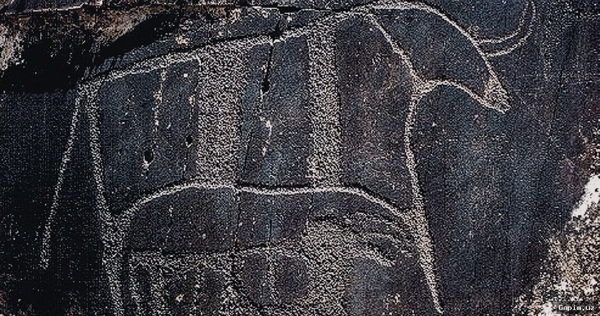 🏺🗿 В Джизакской области обнаружены новые археологические находки