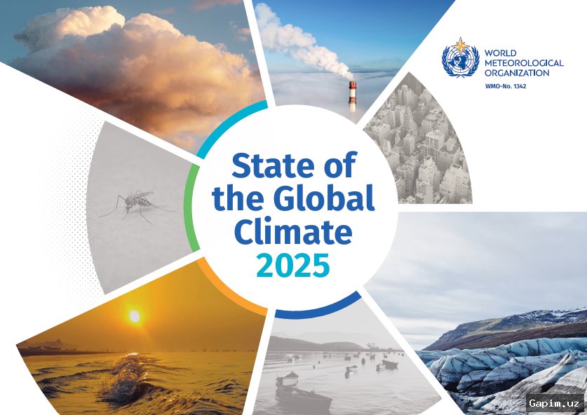 🔥🌊 World's Oceans Break Heat Records for Ninth Straight Year: WMO Report