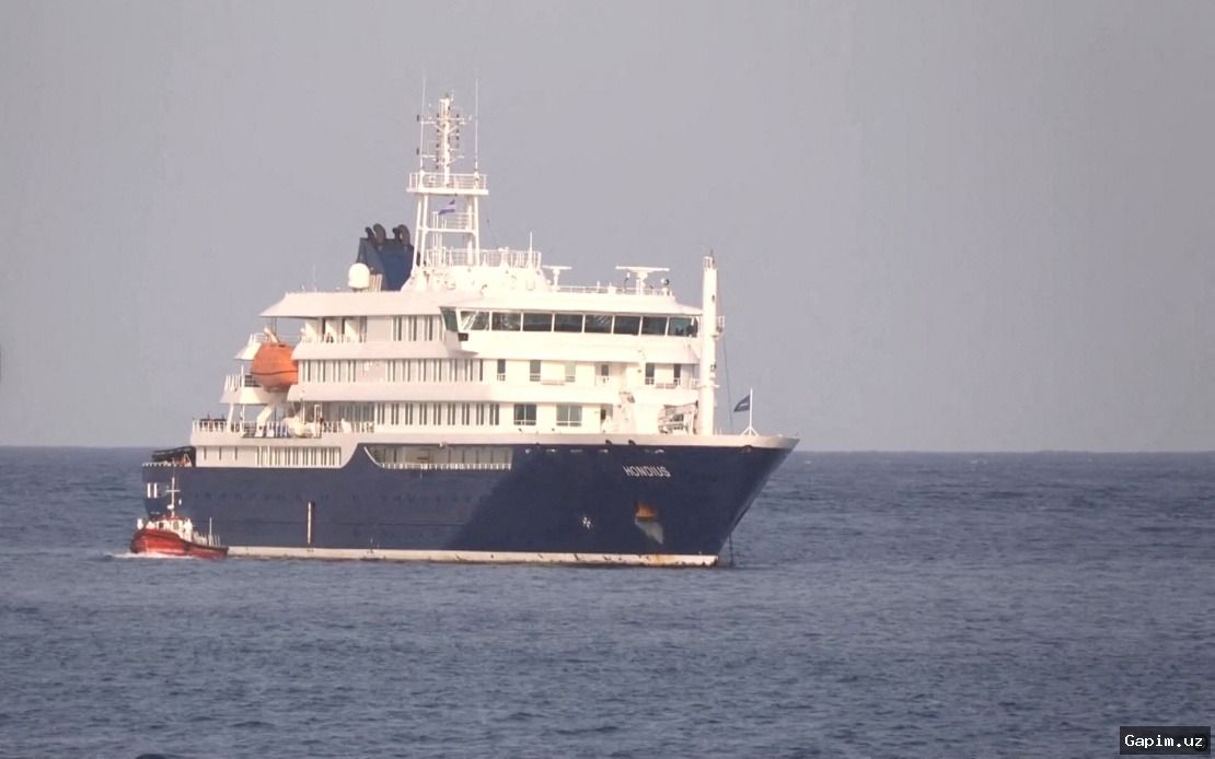 🚢🦠 ВОЗ: вспышка вируса Андес на круизном лайнере – 8 случаев, 3 смерти