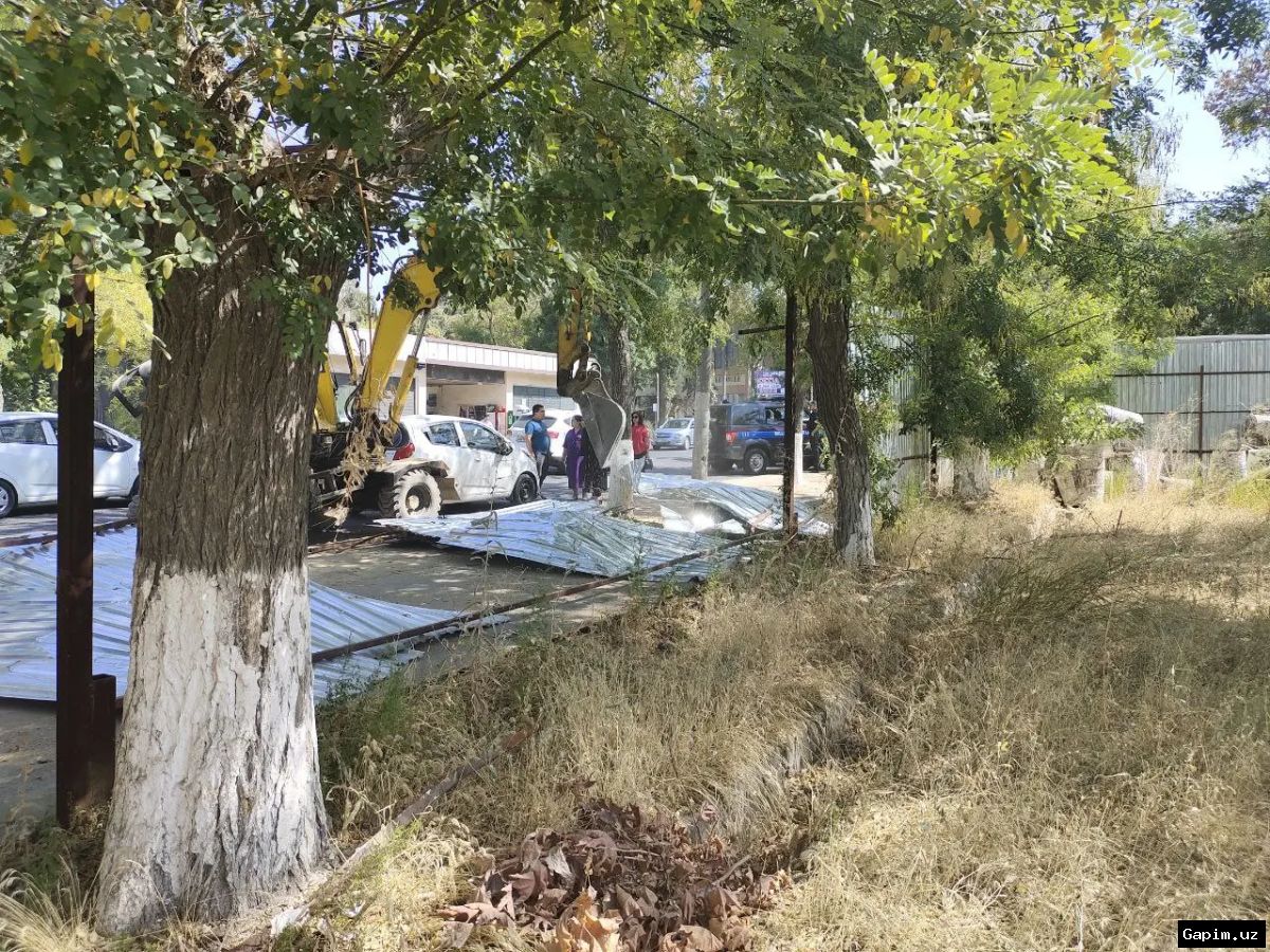 🌳📉 Illegal Tree Felling Uncovered During Artificial Reservoir Construction in Tashkent