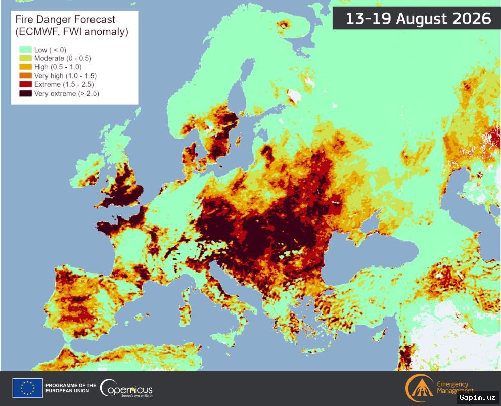 🔥🌍 Europe battles unprecedented wildfires: thousands of hectares scorched, lives lost