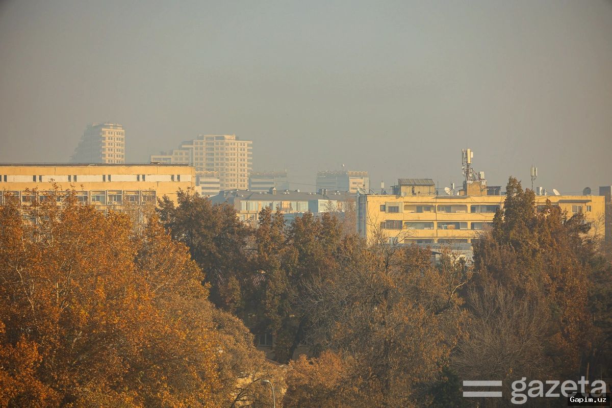 🌫️📉 Toshkent havosida PM2.5 zarralari: mutaxassislar xavfli inversiya va uning oqibatlari haqida ogohlantirmoqda