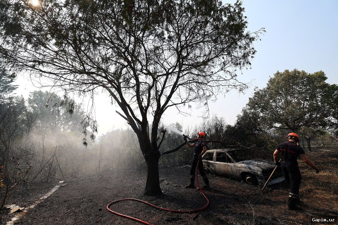 🔥🌲 Ispaniya va Fransiyada yong‘in xavfi yuqoriligicha qolmoqda