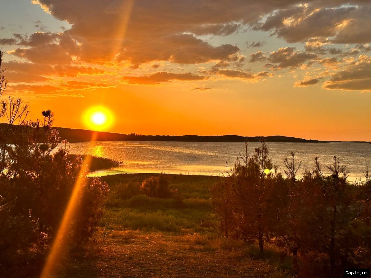 🌤️🍂 В Узбекистане ожидается постепенное потепление до +25 градусов