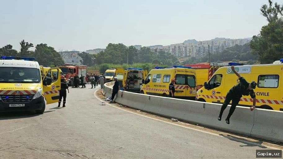 🚌⛰️ Jazoirda avtobus jarlikka quladi: 27 kishi halok bo‘ldi